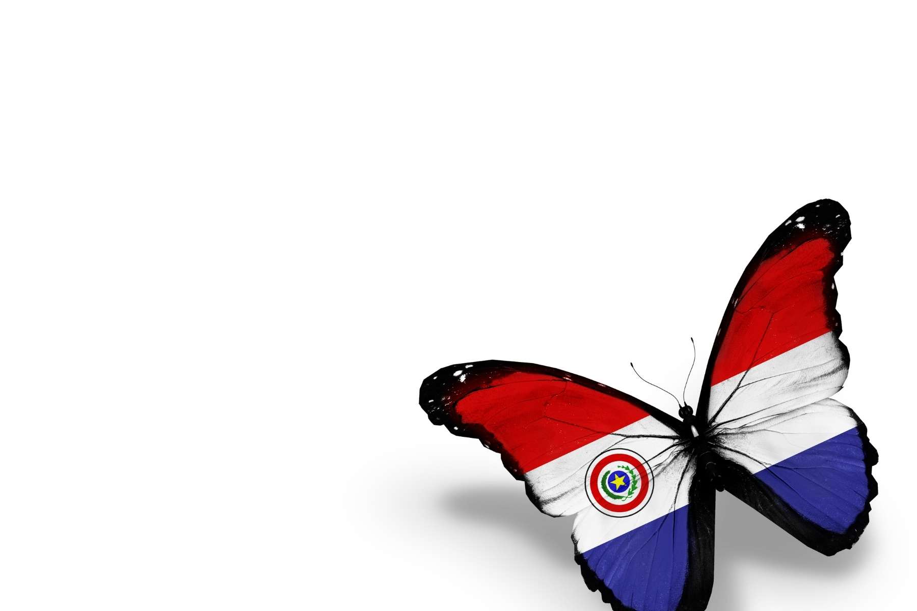 Foto da posição borboleta paraguaia
